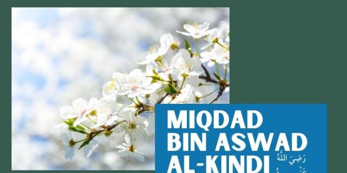 Miqdad bin Aswad al-kindi
